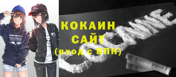 соль ск Алексеевка